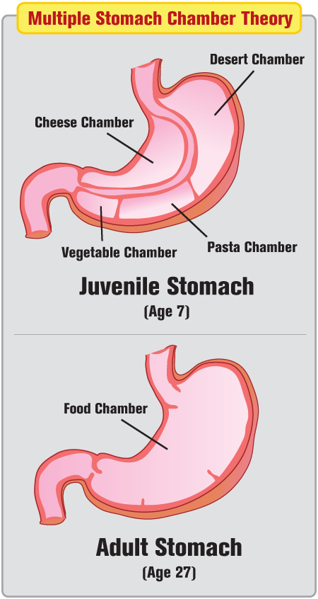 multiple stomach  chamber theory chart